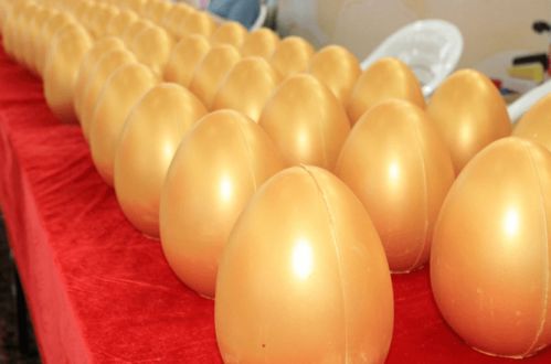 現(xiàn)代日用百貨城全新亮相，浙江食品市場(chǎng)再添消費(fèi)新地標(biāo)